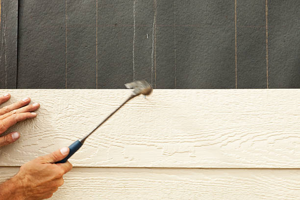 Best Weatherproofing and Sealing  in Wailea, HI
